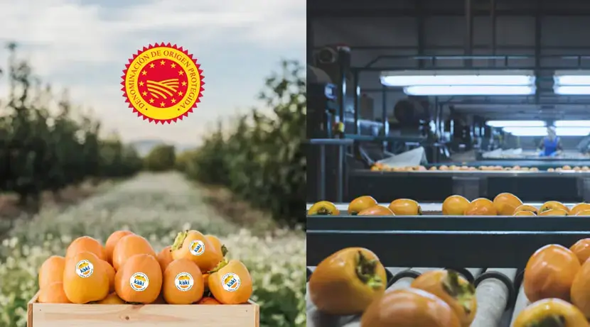 Tradición y modernidad: el kaki DOP Ribera del Xúquer en la nueva cocina mediterránea