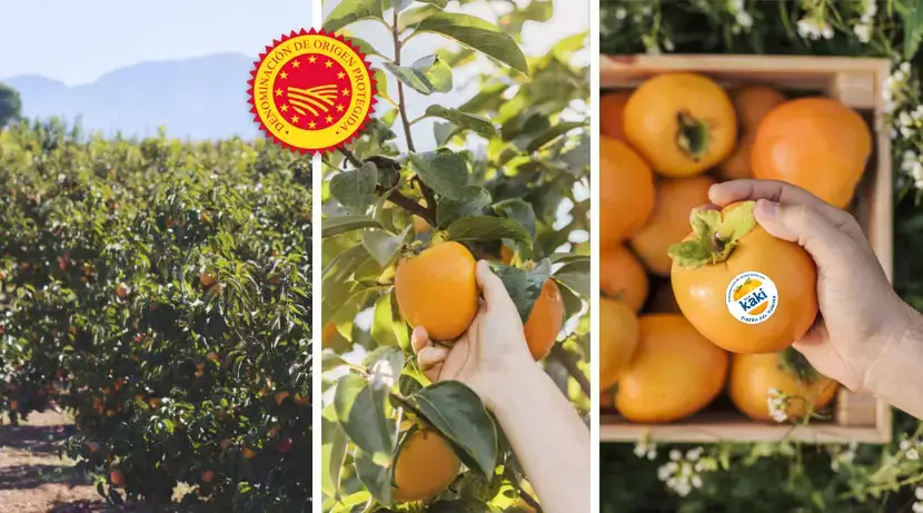 10 curiosidades sobre el kaki DOP Ribera del Xúquer